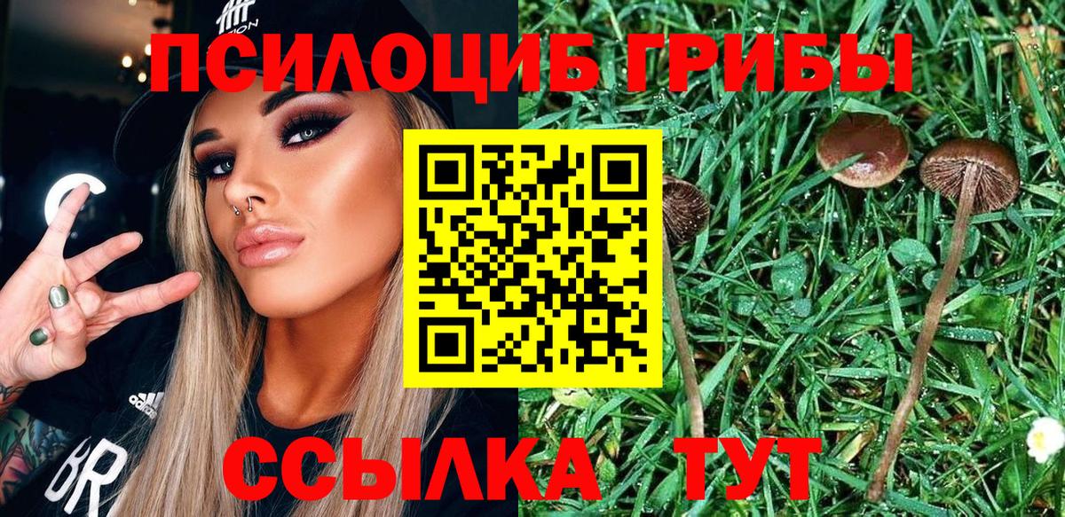 Галлюциногенные грибы мухоморы Нефтекумск